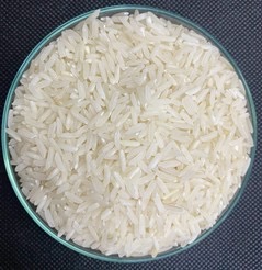 Rice Image